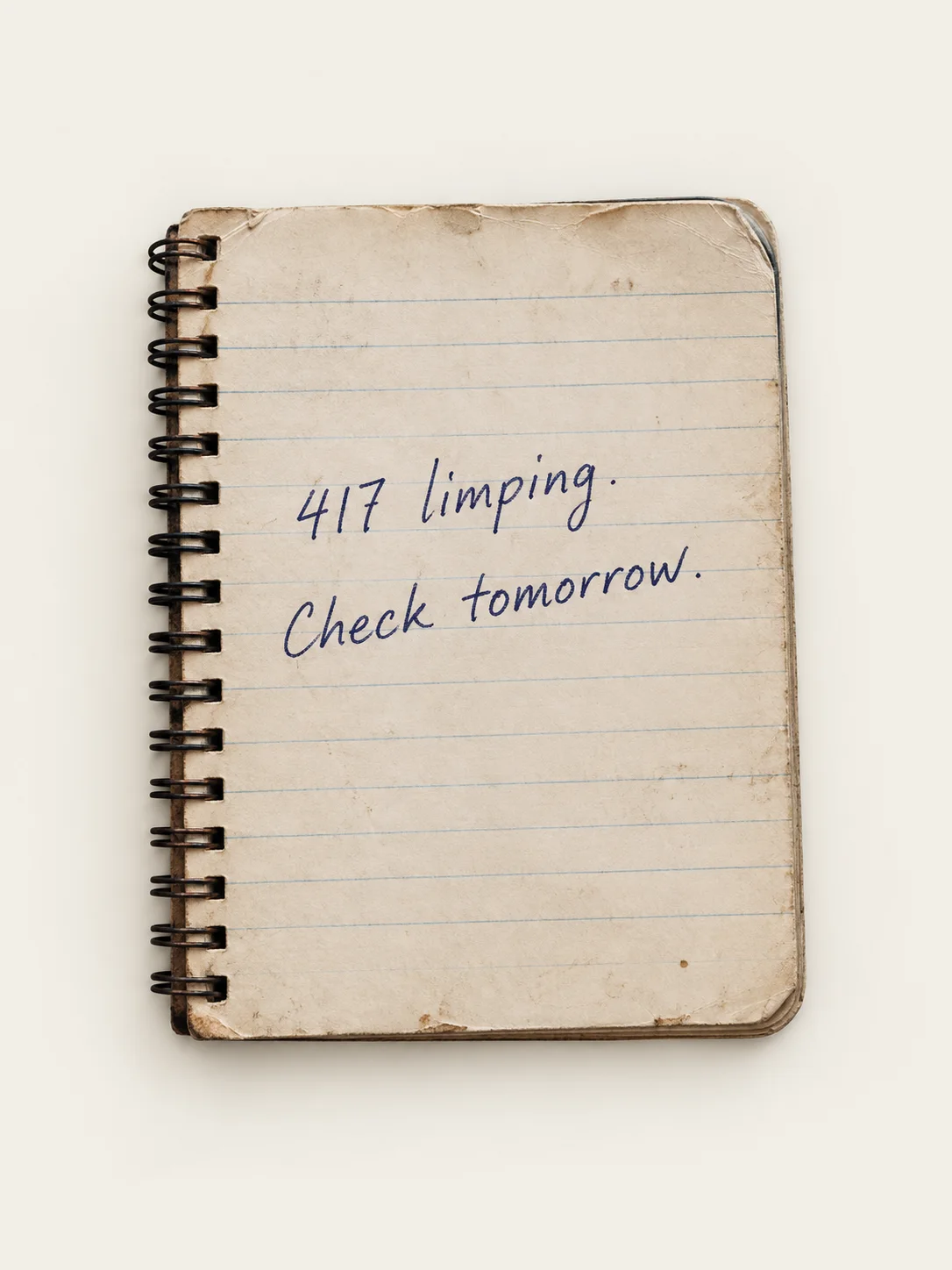 Handwritten note: 417 limping. Check tomorrow.