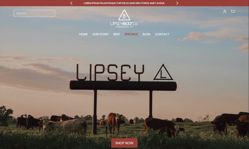 Lipsey Beef website