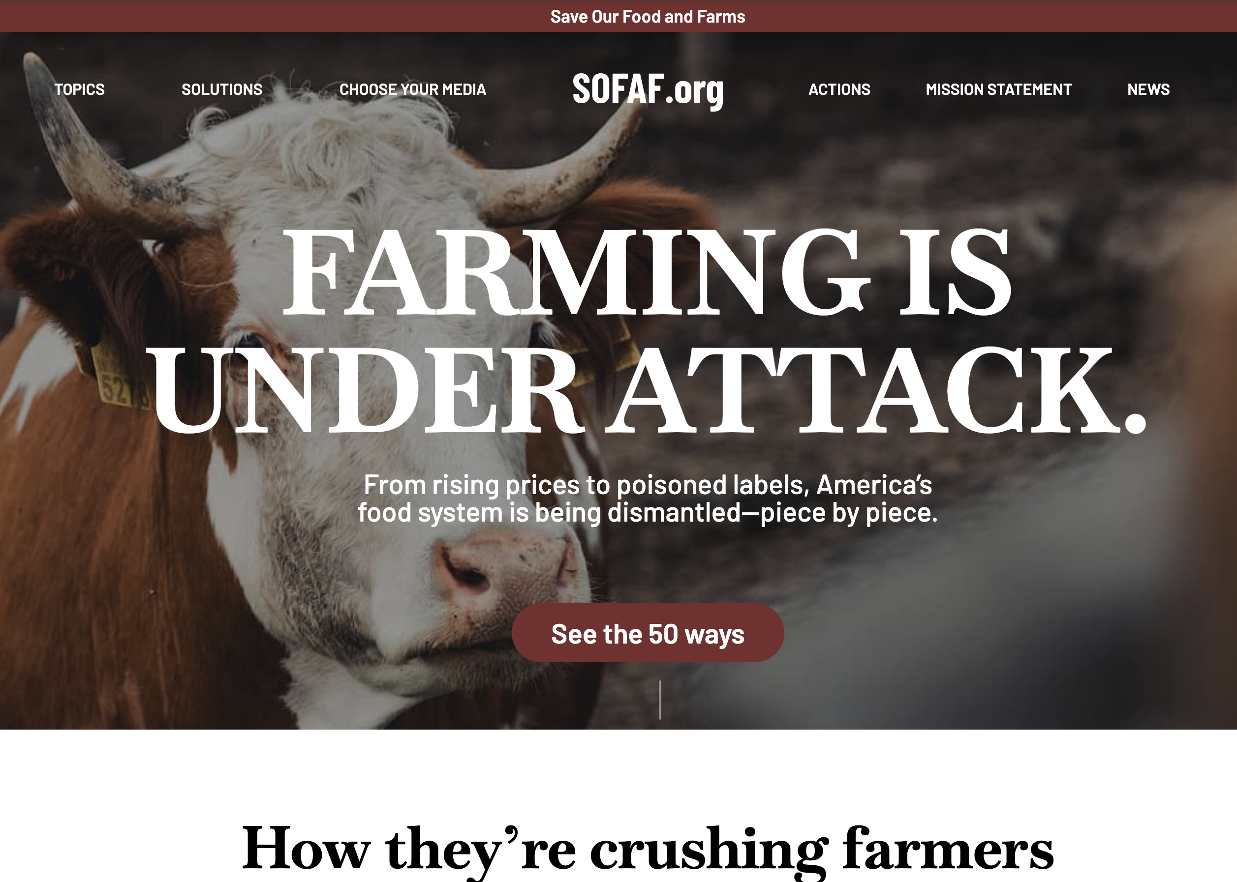 SOFAF.org website